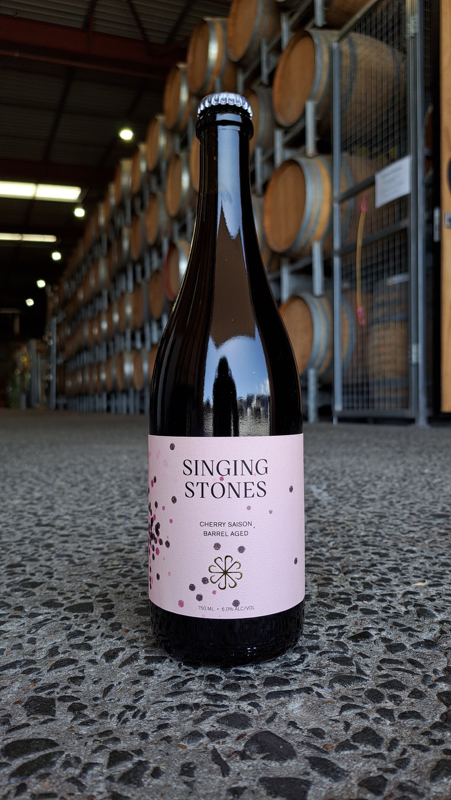 Singing Stones - NEW RELEASE